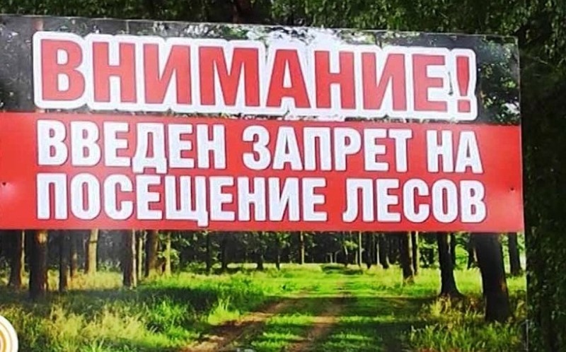 В Малоритском районе введён запрет на посещение лесов