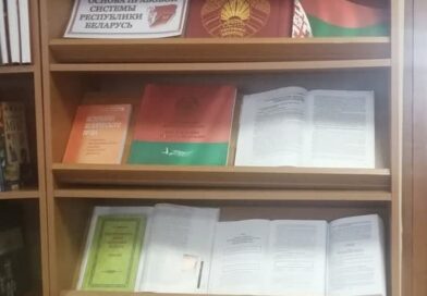 Книжная выставка «Конституция — главный Закон страны» демонстрируется в районной библиотеке